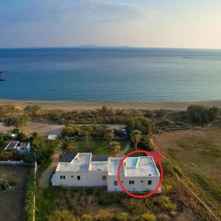 So Close To The Sea *